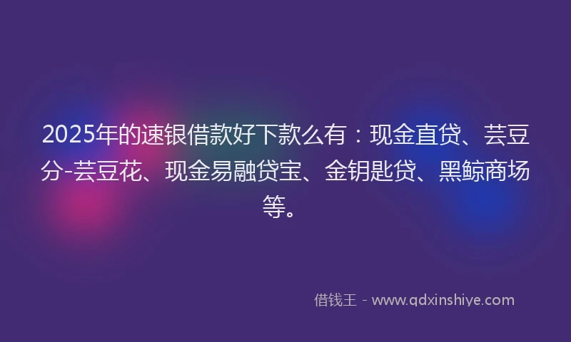 2025年的速银借款好下款么有：现金直贷、芸豆分-芸豆花、现金易融贷宝、金钥匙贷、黑鲸商场等。