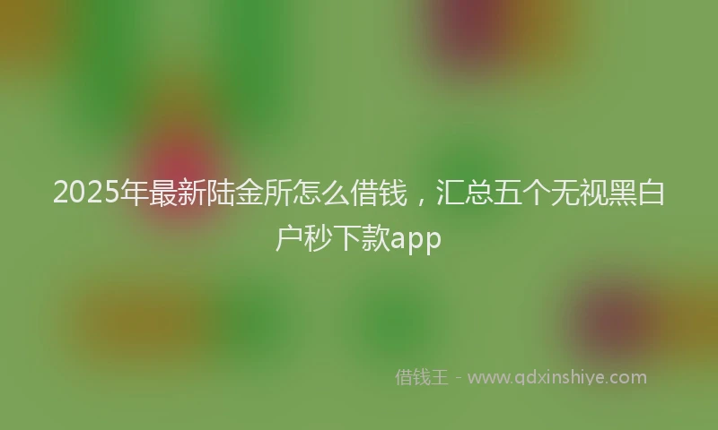 2025年最新陆金所怎么借钱，汇总五个无视黑白户秒下款app