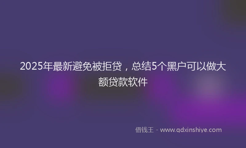 2025年最新避免被拒贷，总结5个黑户可以做大额贷款软件