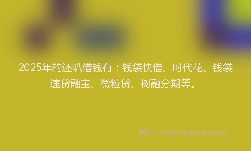 2025年的还叭借钱有：钱袋快借、时代花、钱袋速贷融宝、微粒贷、树融分期等。