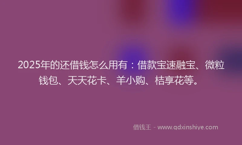 2025年的还借钱怎么用有：借款宝速融宝、微粒钱包、天天花卡、羊小购、桔享花等。
