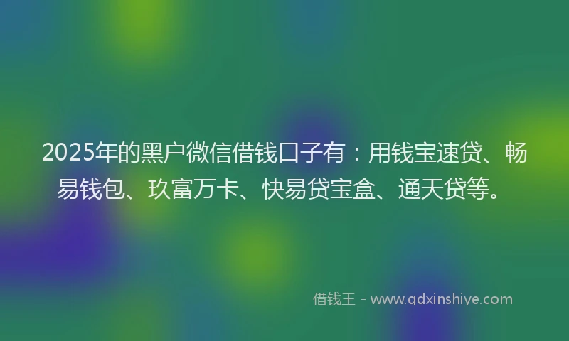 2025年的黑户微信借钱口子有：用钱宝速贷、畅易钱包、玖富万卡、快易贷宝盒、通天贷等。