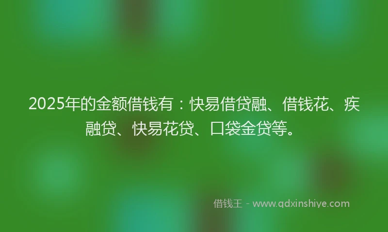 2025年的金额借钱有：快易借贷融、借钱花、疾融贷、快易花贷、口袋金贷等。