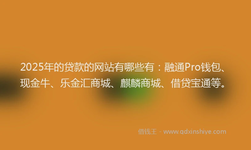 2025年的贷款的网站有哪些有：融通Pro钱包、现金牛、乐金汇商城、麒麟商城、借贷宝通等。
