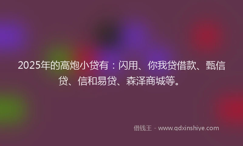 2025年的高炮小贷有：闪用、你我贷借款、甄信贷、信和易贷、森泽商城等。