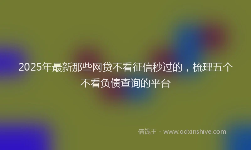 2025年最新那些网贷不看征信秒过的，梳理五个不看负债查询的平台