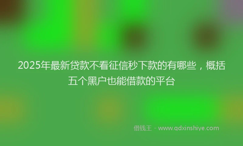 2025年最新贷款不看征信秒下款的有哪些，概括五个黑户也能借款的平台
