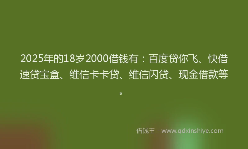 2025年的18岁2000借钱有：百度贷你飞、快借速贷宝盒、维信卡卡贷、维信闪贷、现金借款等。