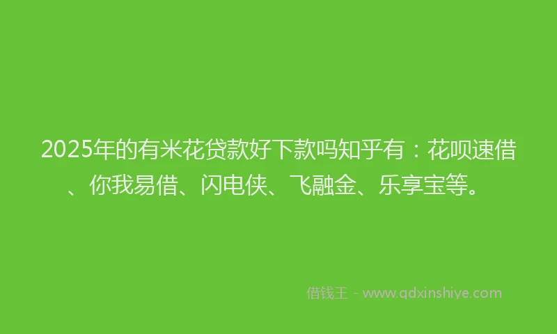 2025年的有米花贷款好下款吗知乎有：花呗速借、你我易借、闪电侠、飞融金、乐享宝等。
