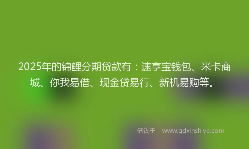 2025年的锦鲤分期贷款有：速享宝钱包、米卡商城、你我易借、现金贷易行、新机易购等。