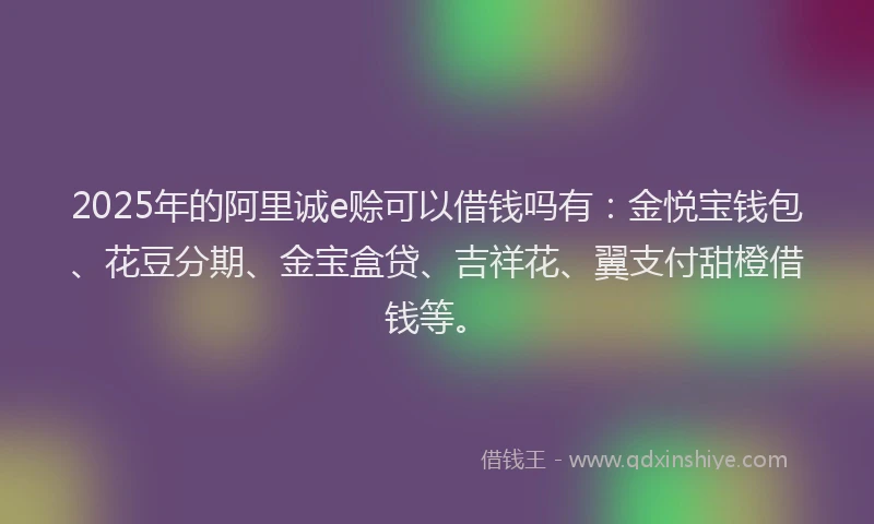2025年的阿里诚e赊可以借钱吗有：金悦宝钱包、花豆分期、金宝盒贷、吉祥花、翼支付甜橙借钱等。