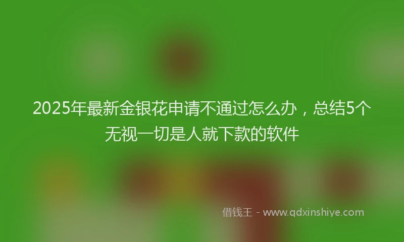 2025年最新金银花申请不通过怎么办，总结5个无视一切是人就下款的软件