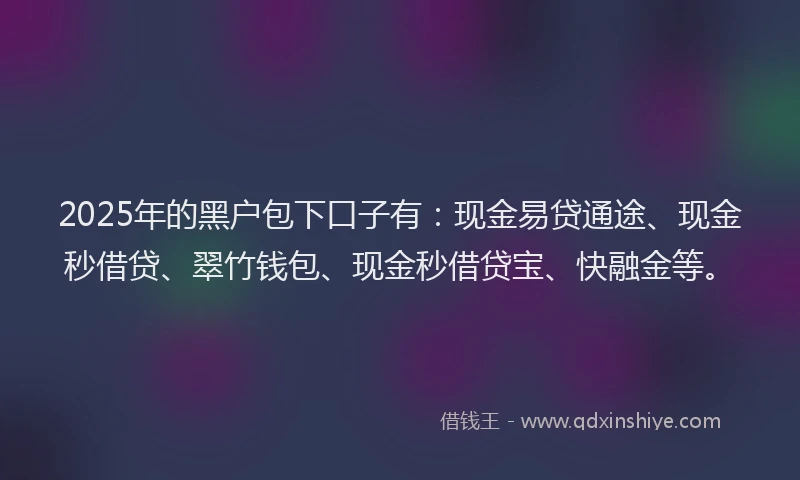 2025年的黑户包下口子有：现金易贷通途、现金秒借贷、翠竹钱包、现金秒借贷宝、快融金等。