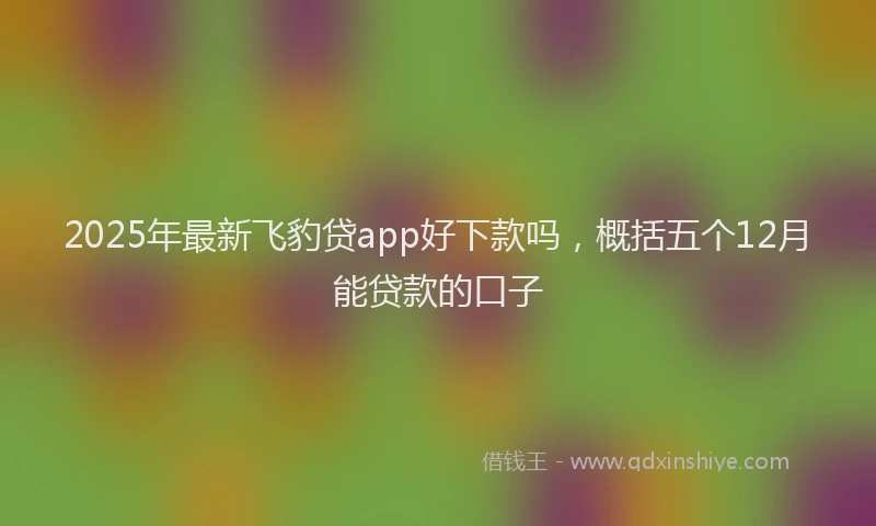 2025年最新飞豹贷app好下款吗，概括五个12月能贷款的口子