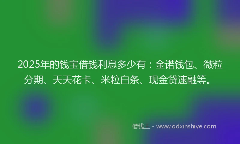 2025年的钱宝借钱利息多少有：金诺钱包、微粒分期、天天花卡、米粒白条、现金贷速融等。
