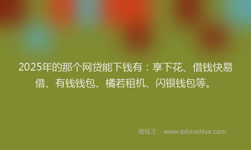 2025年的那个网贷能下钱有：享下花、借钱快易借、有钱钱包、橘若租机、闪银钱包等。
