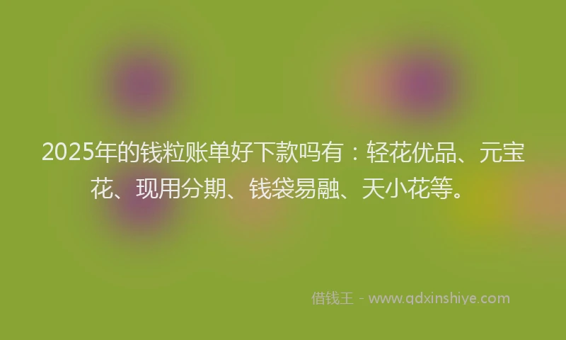 2025年的钱粒账单好下款吗有：轻花优品、元宝花、现用分期、钱袋易融、天小花等。