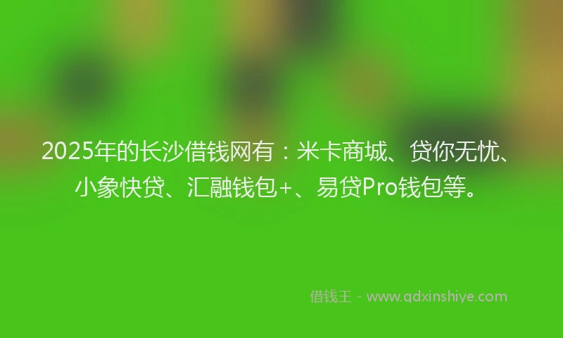 2025年的长沙借钱网有：米卡商城、贷你无忧、小象快贷、汇融钱包+、易贷Pro钱包等。