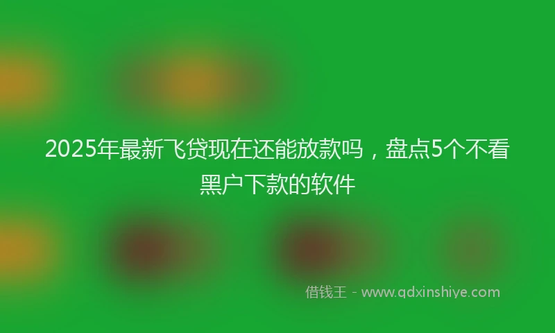 2025年最新飞贷现在还能放款吗，盘点5个不看黑户下款的软件