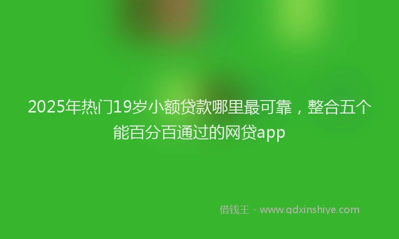 2025年热门19岁小额贷款哪里最可靠，整合五个能百分百通过的网贷app