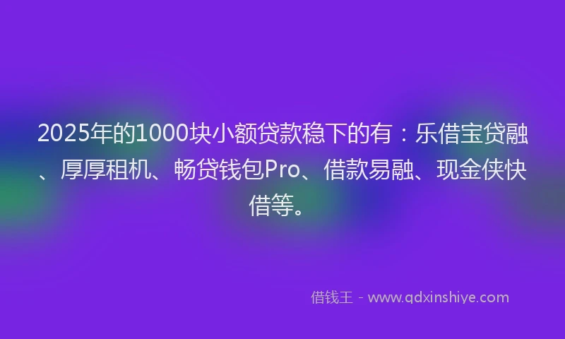2025年的1000块小额贷款稳下的有：乐借宝贷融、厚厚租机、畅贷钱包Pro、借款易融、现金侠快借等。