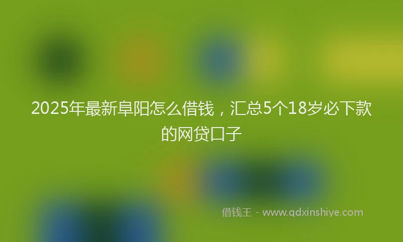 2025年最新阜阳怎么借钱，汇总5个18岁必下款的网贷口子