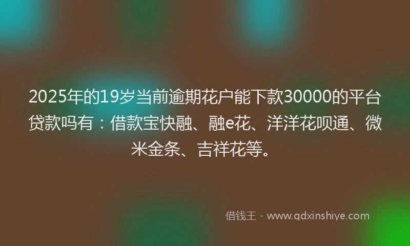 2025年的19岁当前逾期花户能下款30000的平台贷款吗有：借款宝快融、融e花、洋洋花呗通、微米金条、吉祥花等。