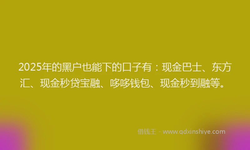 2025年的黑户也能下的口子有：现金巴士、东方汇、现金秒贷宝融、哆哆钱包、现金秒到融等。