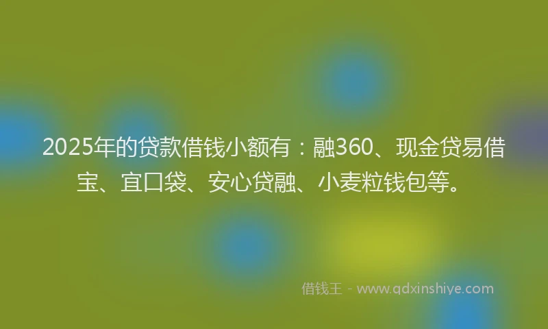 2025年的贷款借钱小额有：融360、现金贷易借宝、宜口袋、安心贷融、小麦粒钱包等。