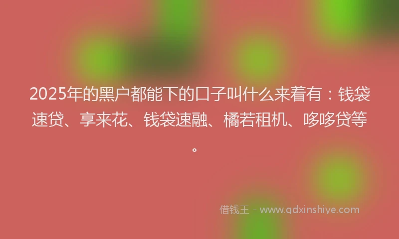 2025年的黑户都能下的口子叫什么来着有：钱袋速贷、享来花、钱袋速融、橘若租机、哆哆贷等。