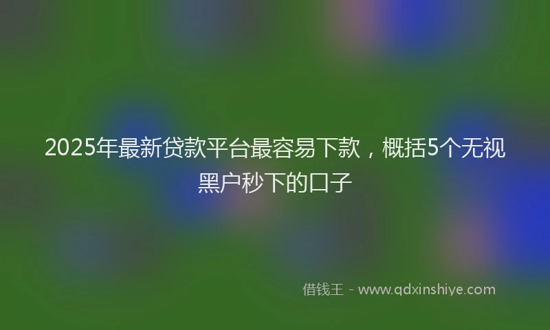 2025年最新贷款平台最容易下款，概括5个无视黑户秒下的口子