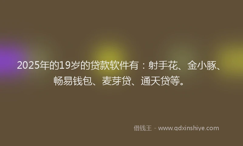 2025年的19岁的贷款软件有：射手花、金小豚、畅易钱包、麦芽贷、通天贷等。