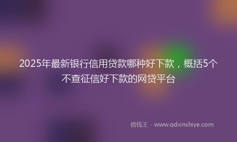 2025年最新银行信用贷款哪种好下款，概括5个不查征信好下款的网贷平台