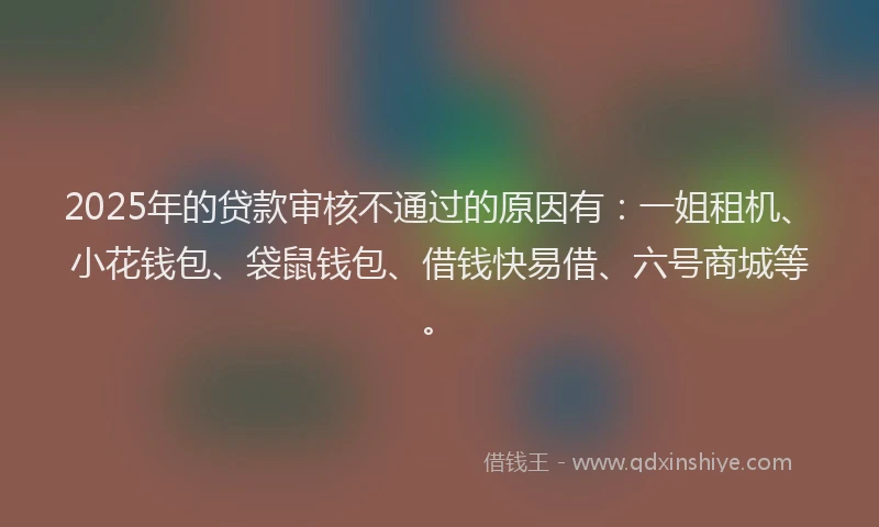 2025年的贷款审核不通过的原因有：一姐租机、小花钱包、袋鼠钱包、借钱快易借、六号商城等。
