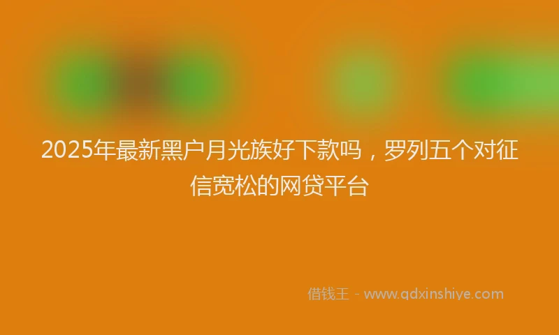 2025年最新黑户月光族好下款吗，罗列五个对征信宽松的网贷平台