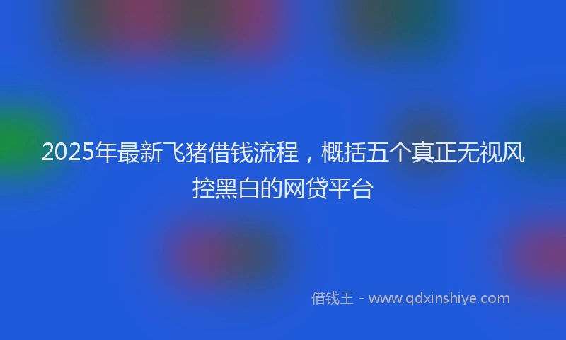 2025年最新飞猪借钱流程，概括五个真正无视风控黑白的网贷平台