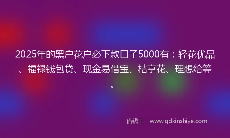 2025年的黑户花户必下款口子5000有：轻花优品、福禄钱包贷、现金易借宝、桔享花、理想给等。