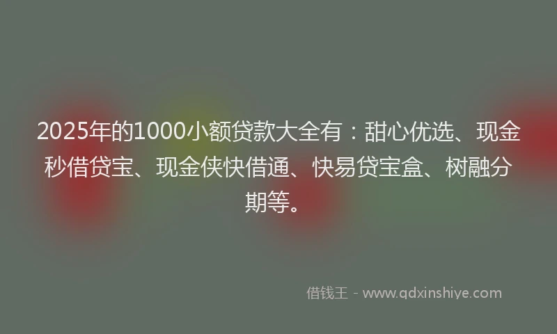 2025年的1000小额贷款大全有：甜心优选、现金秒借贷宝、现金侠快借通、快易贷宝盒、树融分期等。