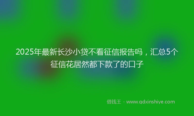 2025年最新长沙小贷不看征信报告吗，汇总5个征信花居然都下款了的口子