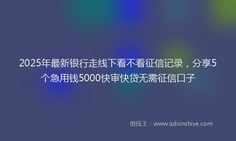 2025年最新银行走线下看不看征信记录，分享5个急用钱5000快审快贷无需征信口子