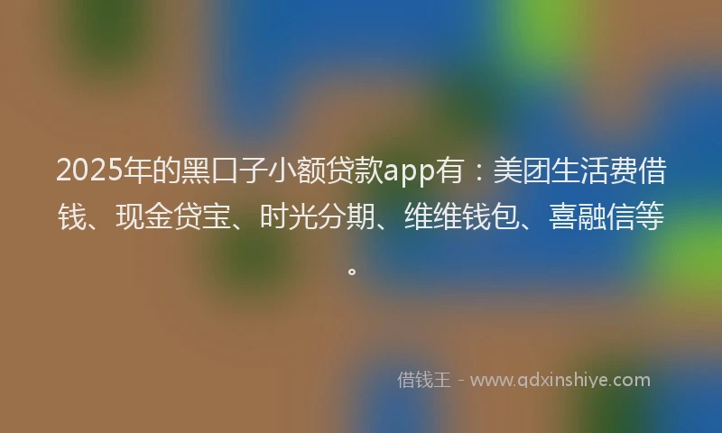 2025年的黑口子小额贷款app有：美团生活费借钱、现金贷宝、时光分期、维维钱包、喜融信等。