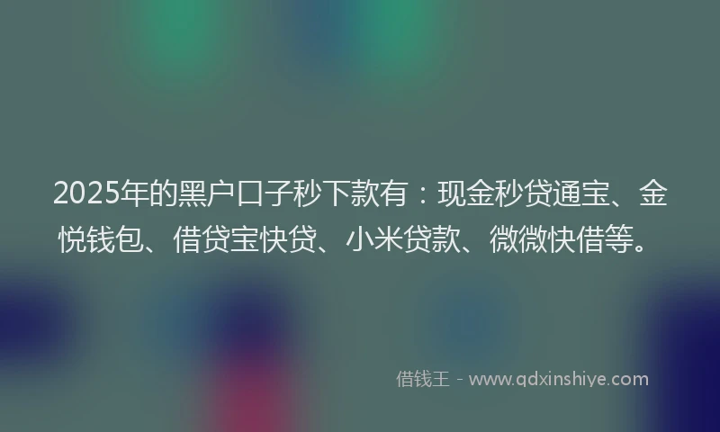 2025年的黑户口子秒下款有：现金秒贷通宝、金悦钱包、借贷宝快贷、小米贷款、微微快借等。