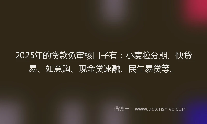 2025年的贷款免审核口子有：小麦粒分期、快贷易、如意购、现金贷速融、民生易贷等。