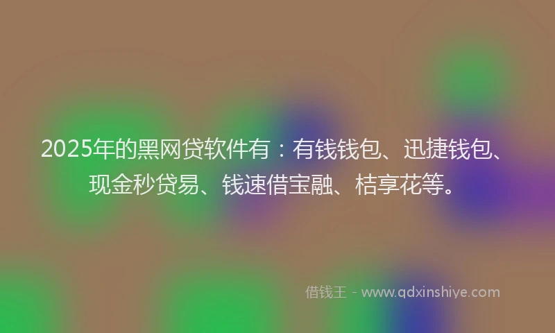 2025年的黑网贷软件有：有钱钱包、迅捷钱包、现金秒贷易、钱速借宝融、桔享花等。