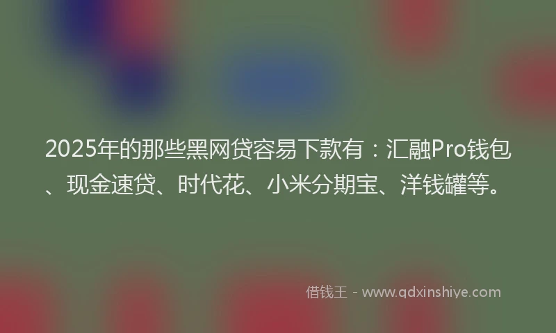 2025年的那些黑网贷容易下款有：汇融Pro钱包、现金速贷、时代花、小米分期宝、洋钱罐等。