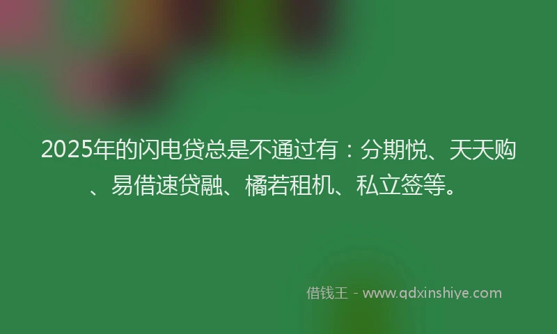 2025年的闪电贷总是不通过有：分期悦、天天购、易借速贷融、橘若租机、私立签等。