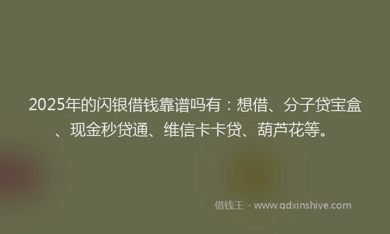 2025年的闪银借钱靠谱吗有：想借、分子贷宝盒、现金秒贷通、维信卡卡贷、葫芦花等。