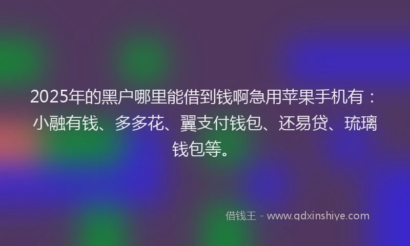 2025年的黑户哪里能借到钱啊急用苹果手机有：小融有钱、多多花、翼支付钱包、还易贷、琉璃钱包等。