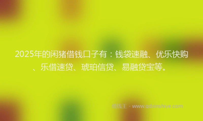 2025年的闲猪借钱口子有：钱袋速融、优乐快购、乐借速贷、琥珀信贷、易融贷宝等。