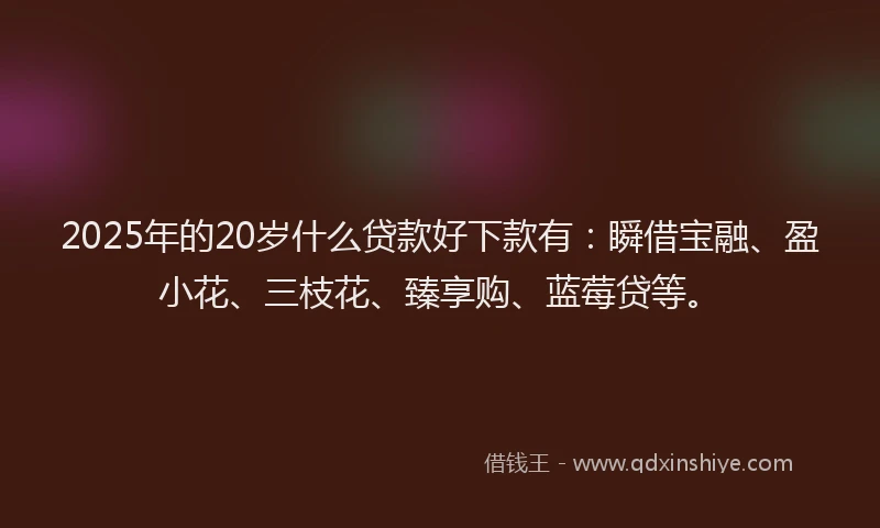 2025年的20岁什么贷款好下款有：瞬借宝融、盈小花、三枝花、臻享购、蓝莓贷等。